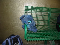 IMG 0001