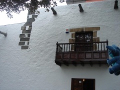 canaries 001