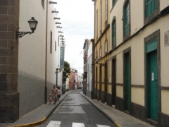 canaries 009