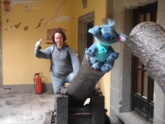 canaries 014